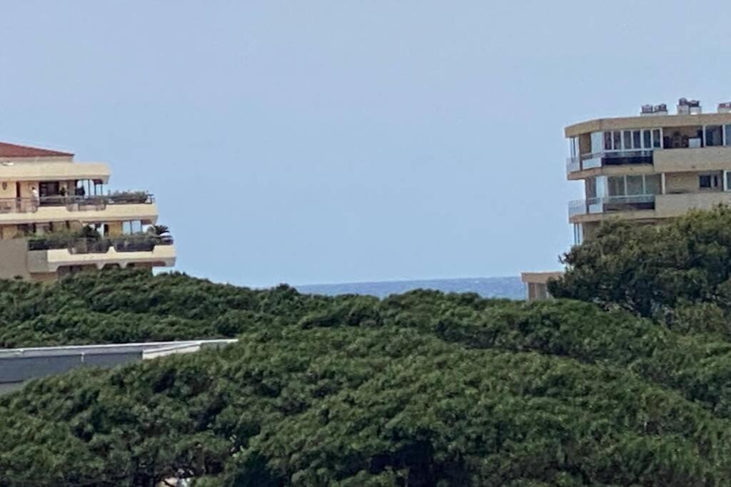 Tres Beau T4 A Frejus Plage Leilighet Eksteriør bilde